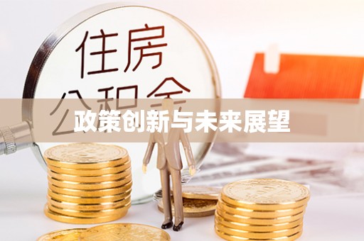 澄江政策创新与未来展望